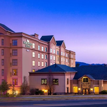 Homewood Suites By Hilton Asheville Dış mekan fotoğraf